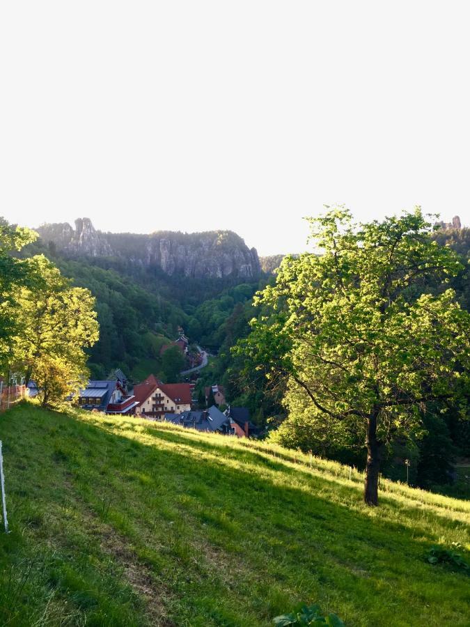 Ferienwohnung Am Gruenbach 2 Rathen Exteriér fotografie